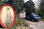 From Venice: Wine Tour in the Euganean Hills