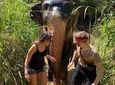 5 Days Tour in Sri Lanka (Hotels with Breakfast & Luxury Car)
