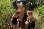 5 Days Tour in Sri Lanka (Hotels with Breakfast & Luxury Car)