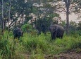 Hurulu Eco Park Private Safari