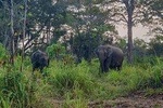 Hurulu Eco Park Private Safari