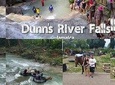 Dunn's River Falls, River Tubing, and Horseback Riding Combo [Transportation]