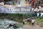 Dunn's River Falls, River Tubing, and Horseback Riding Combo [Transportation]