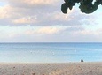 Open Water Swim Training