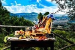The picnic basket
