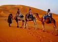 Group desert tour 3 days