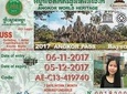 Skip the Line: Express Angkor Temple Pass Service Ticket