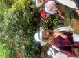 Coffee tour+Guatape 