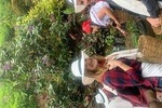 Coffee tour+Guatape 