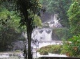  YS Falls and Sightseeing Tour Day Adventure