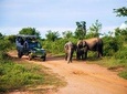 Evening private Safari at Udawalawe National Park by Jeep
