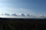 Verona - Art & wine