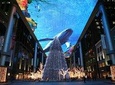 Beijing Night Driving Self-Guide Tour Assist by English Speaking Driver 