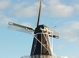 Haarlem Walking Tour. Unknown and Surprising