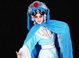 Peking Opera Show with Private Driver Service Include Hotel Pick-up and Drop-off