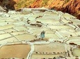 Maras, Moray and Salineras Tour