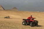Quad Bike Around Pyramids enjoying Sunset or Sunrise 