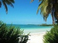 Isla Contoy Tour from Playa del Carmen 