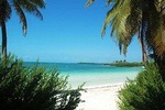 Isla Contoy Tour from Playa del Carmen 