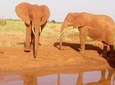 Safari-Tsavo east national park -2 days 1 night