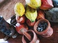 Chocolate Tour Manuel Antonio
