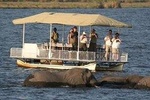 Chobe Full Day Trip (From Victoria Falls)