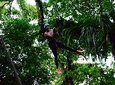 Canopy Tour + Tarzan Swing + Night Walk