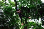 Canopy Tour + Tarzan Swing + Night Walk