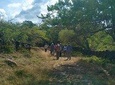 Eco Hike: The Royal Road from Jordan to Los Santos