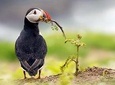 Cusco, Machu Picchu & Manu (8 Days Package Tour)