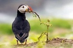 Cusco, Machu Picchu & Manu (8 Days Package Tour)