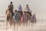 Explore Desert Dunes On 4 x 4 And Camel Ride