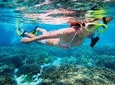 Basic Snorkel Experience in Cancun