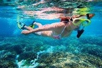Basic Snorkel Experience in Cancun