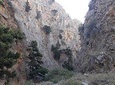 Hike Imbros Gorge and visit Frangokastello Beach or Winery Private Tour