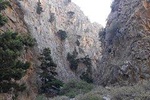 Hike Imbros Gorge and visit Frangokastello Beach or Winery Private Tour