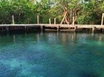 Tour Holbox - Two Island and One Cenote 