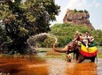 Sigiriya and Dhambulla Day Tour 