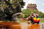 Sigiriya and Dhambulla Day Tour 
