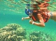 Basic Snorkel Experience Underwater, Easy to snorkel!