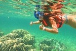 Basic Snorkel Experience Underwater, Easy to snorkel!