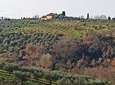 Private tour "Ramble through the Rolling Hills Of Chianti"+ lunch & wine tasting