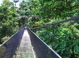 Hanging Bridges in Arenal