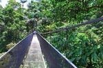 Hanging Bridges in Arenal