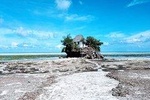 The Rock Restaurant