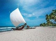 Negombo City And Fishing Village Private Day Tour From Colombo