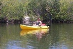 One Single Kayak Rental for 2 hours with Manatees and Dolphins!