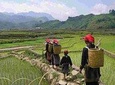 Sa Pa 2-Day Easy Trek and Homestay Bus Tour from Hanoi