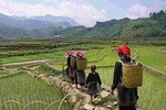 Sa Pa 2-Day Easy Trek and Homestay Bus Tour from Hanoi