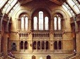 London Natural History Museum Private Tour for Kids & Families